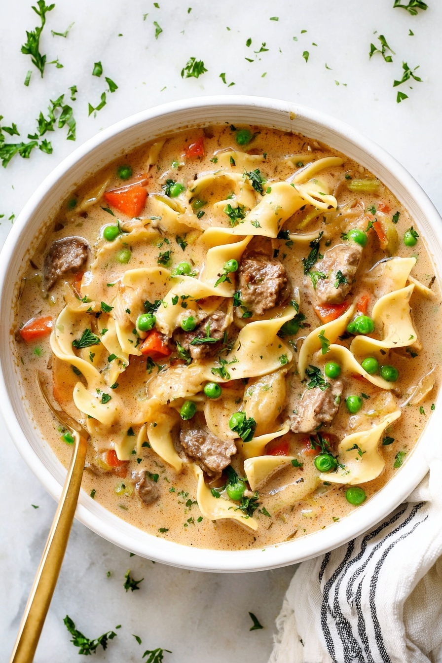 beef noodle soup - Serving Suggestion