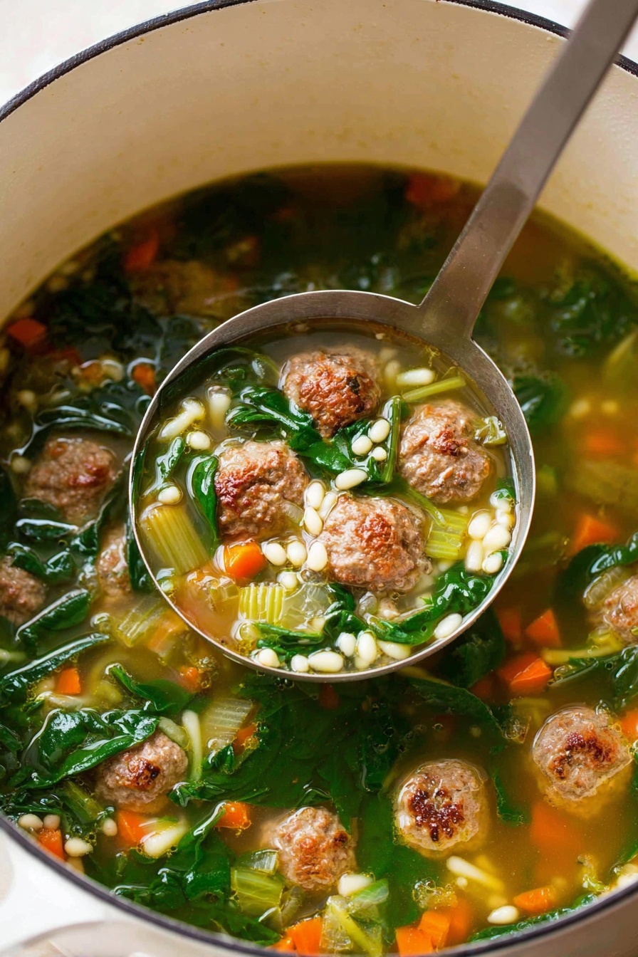 A white pot filled with clear broth soup showing several small, round, brown meatballs with a slightly browned texture floating along with bright orange carrot pieces, vibrant green spinach leaves, translucent celery slices, and small pearl-like pasta. A metal ladle scoops up a portion in the center, holding a mix of meatballs, spinach, carrots, celery, and pasta, all surrounded by the clear liquid. The inside rim of the pot shows light stains and droplets. The photo taken with an iphone --ar 2:3 --v 7